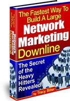 The Fastest Way FREE Ebook
